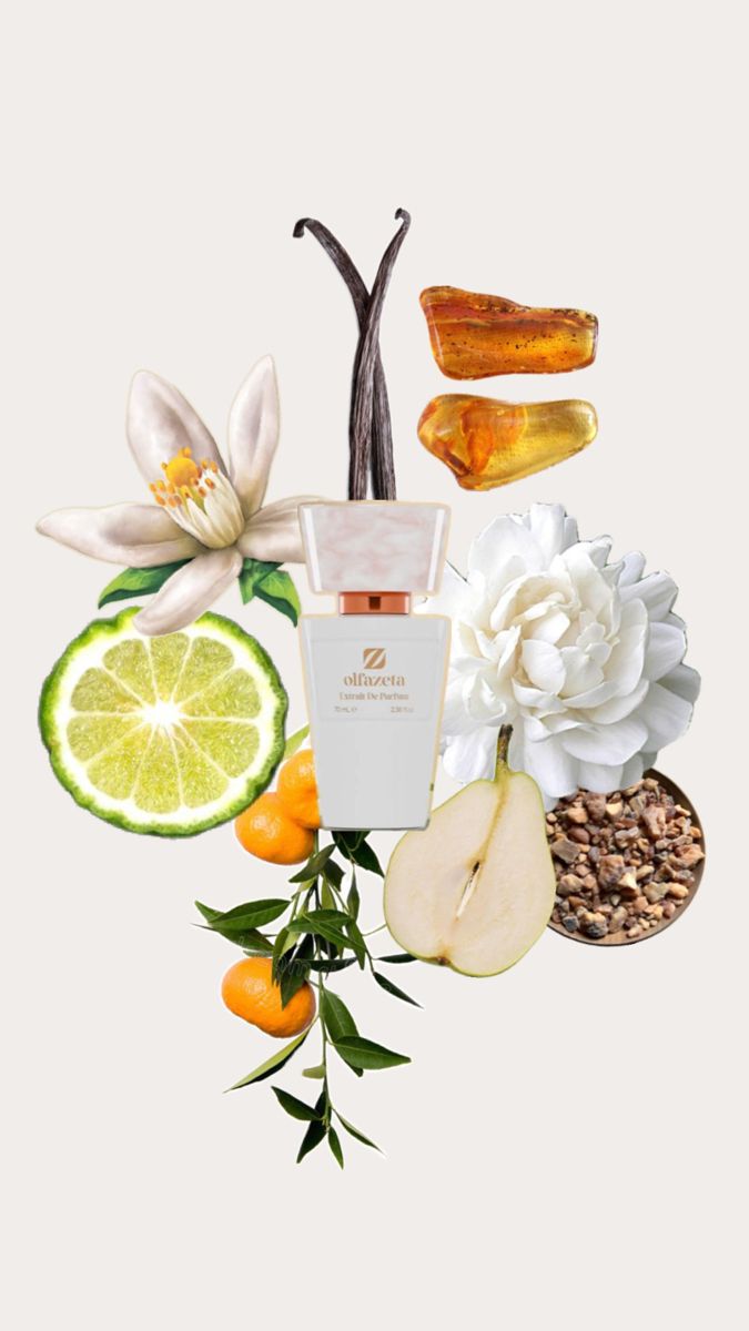 Alfazeto  Perfume N°019 – Women’s Eau de Parfum (70 ml) | Golden Pyramids